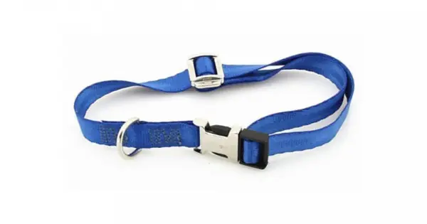 Discount Zgarda nylon Petit Amis, albastra, reglabila, 29-45 cm x 1.5 cm
