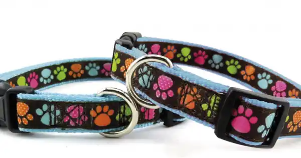 Zgarda nylon, albastra, confortabila, 30-45 cm x 1.6 cm Plată sigură