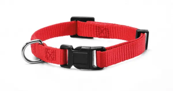 Livrare expres Zgarda nylon, rosie, confortabila, 48-73 cm x 2.5 cm