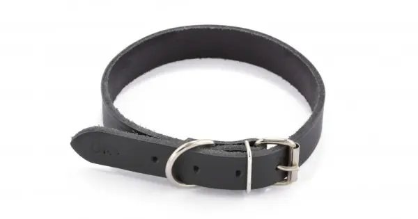 Ofertă Zgarda piele DogTech - 40mmx60cm