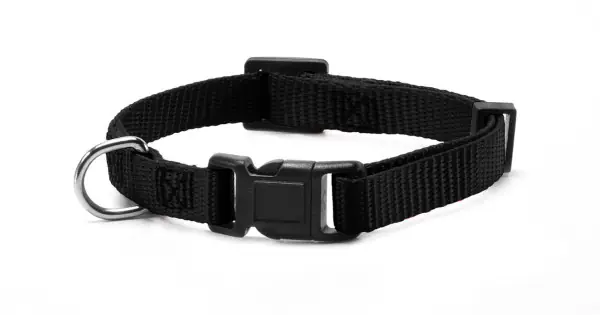 Zgarda reglabila din nylon, neagra, confortabila, 40-53 cm x 2 cm Bestseller