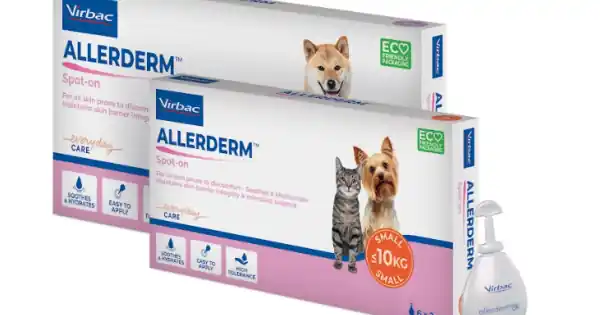 Allerderm Spot On, Pentru Caini si Pisici, 6 X 2 ml Cel mai bun preț
