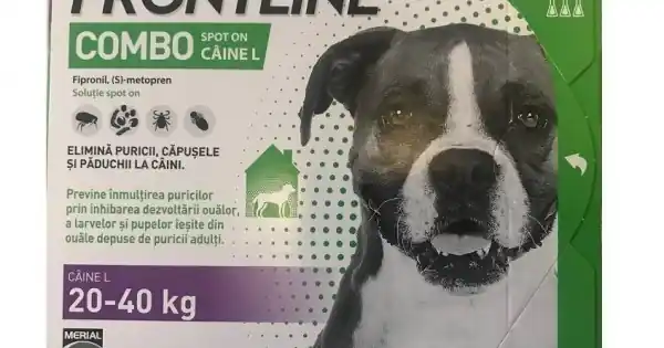 Antiparazitar caini Frontline Combo L (20-40 kg), 3 pipete Plată securizată