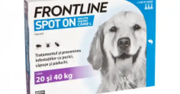 Antiparazitar caini Frontline Spot On L (20-40 kg), 3 pipete Preț redus