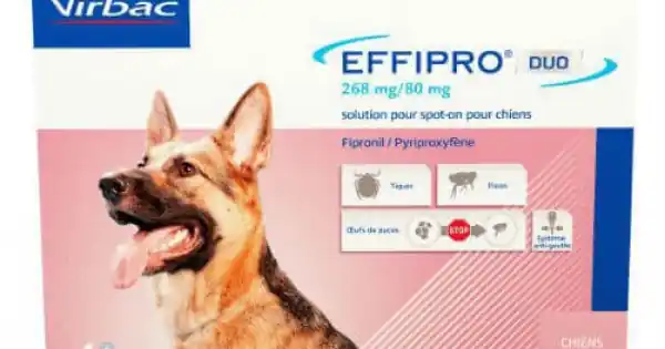 Lichidare de stoc Antiparazitar extern caini EffiPro Duo L (20-40 kg), 4 pipete