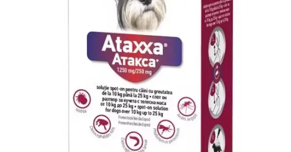 Ataxxa 1250 mg/250 mg, antiparazitar extern pentru caine de talie medie (10-25 kg), 3 pipete Cel mai bun preț