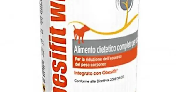 Reduceri Conserva Caine Obesifit 400 GR