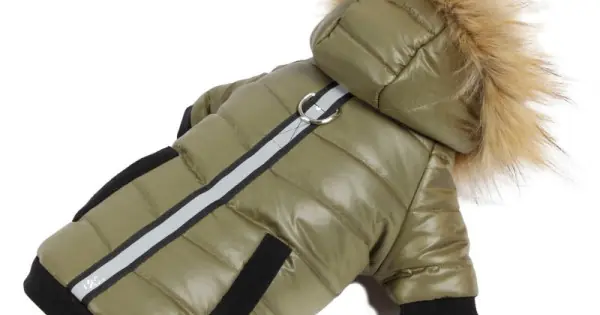 Haina Mon Petit Ami XL 50 Cm Chilipir