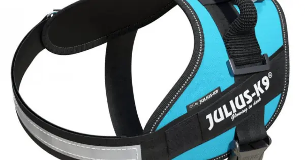 Ham ajustabil, aquamarine, respirabil, elemente reflectorizante, circumferința piept 58-76 cm, pentru câini cu greutate de 14-25 kg Comandă acum