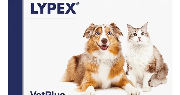 Discount Lypex, 60 capsule