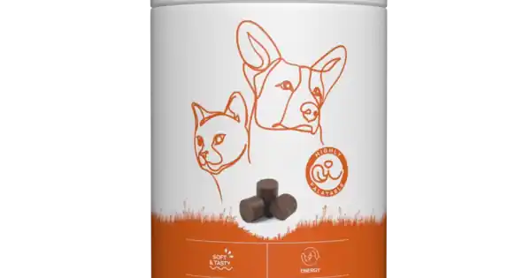 Recompense cu vitamine pentru caini si pisici WeVit Tasty, 30 comprimate masticabile Vezi acum