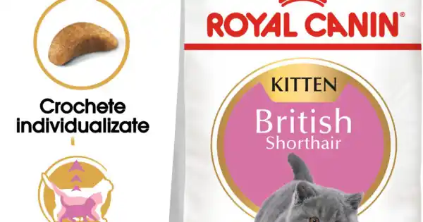 Calitate înaltă Royal Canin British Shorthair Kitten 2 kg