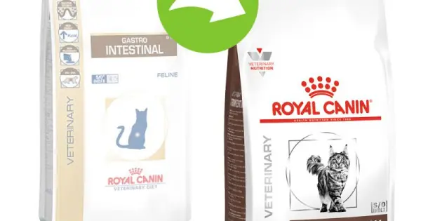 Royal Canin Gastro Intestinal Cat, 2 Kg Preț mic