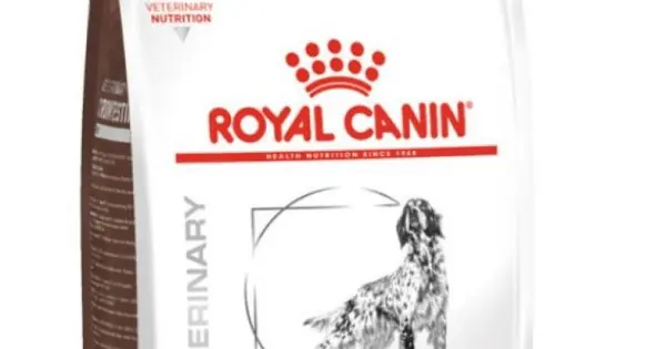 Cel mai bun preț Royal Canin Gastro Intestinal High Fibre Dog, 2 kg