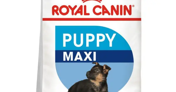 Ofertă Royal Canin Maxi Puppy, 15 Kg
