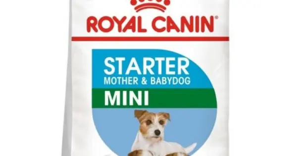 Calitate înaltă Royal Canin Mini Starter Mother & Babybog, 4 kg