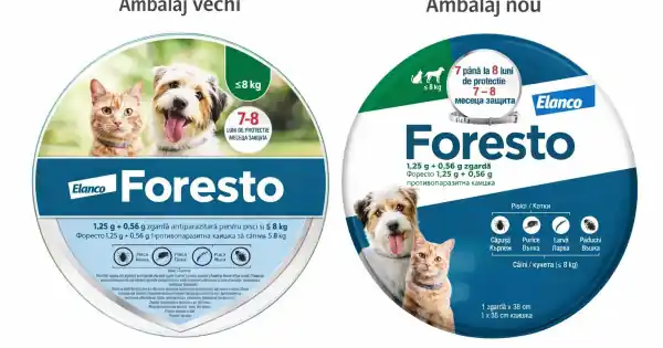 Disponibil imediat Zgarda Foresto S (38 cm), zgarda antiparazitara pentru caini cu greutatea sub 8 kg si pisici