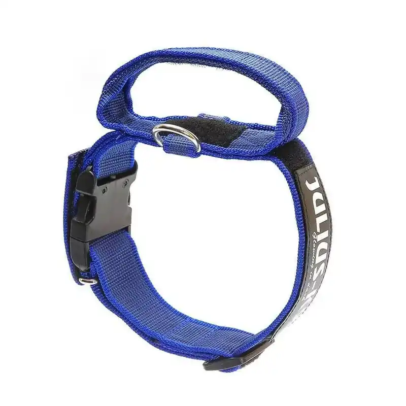 Super ofertă Julius k9 De siguranță cu închizătoare prevăzut zgardă cu mâner și interschimbabil cu inscripție 40 mm/38-53 Albastru-Gri