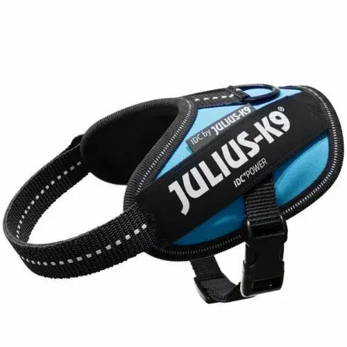 Julius-K9 IDC Ham, cu inscripție, Mini Aquamarine Calitate înaltă