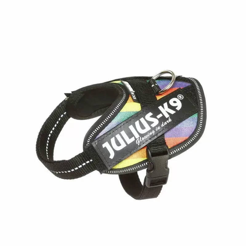 Cumpără online Julius-K9 IDC Ham, cu inscripție, Baby 2 Curcubeu