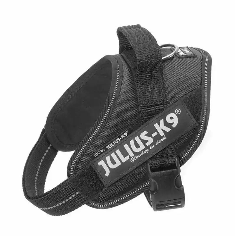 Julius-K9 IDC Ham, cu inscripție, Mini Negru Cumpără online