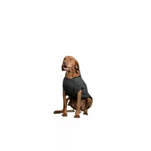 NR Dogs Câinehaină Gri S Preț redus