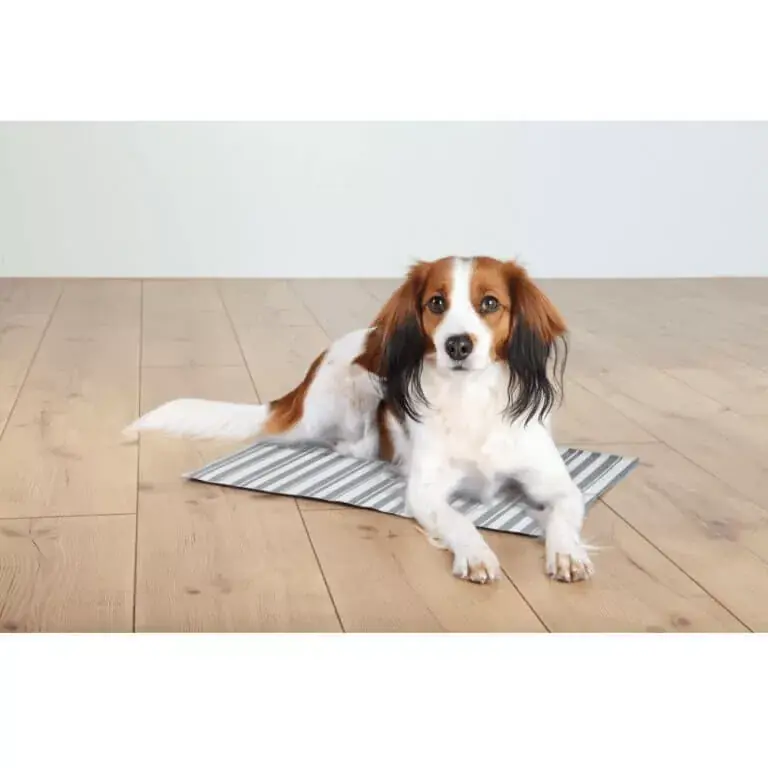 Cumpără online Trixie Răcoritor Saltea L 65x50 cm Alb/Gri