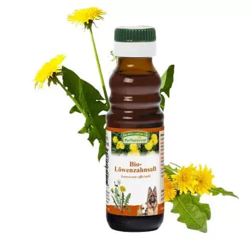 PerNaturam Bio Păpădie Suc, Presată la rece 100ml Ofertă limitată