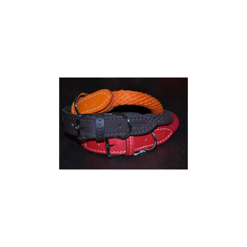 Collar TREKKER Orange Comandă acum