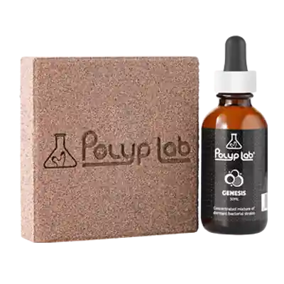 Polyplab Genesis Rock Combo blocuri de filtrare cu bacterii 2160 m2 Preferatul clienților