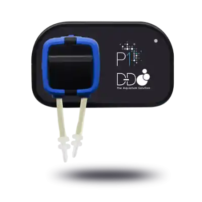 D-D H2Ocean P1 Plus stație de dozare cu wifi 1 pompă Reduceri