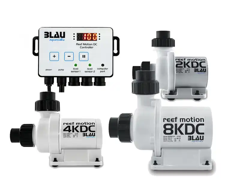 Blau Reef Motion 8KDC Doar azi