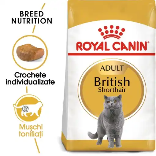 Calitate înaltă Royal Canin British Shorthair Adult, hrana uscata pisica, 400G