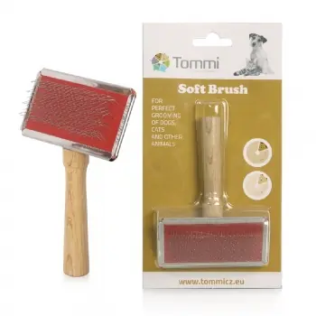 Retur ușor PERIE CU MANER DE LEMN MEDIE 12X9CM 01802