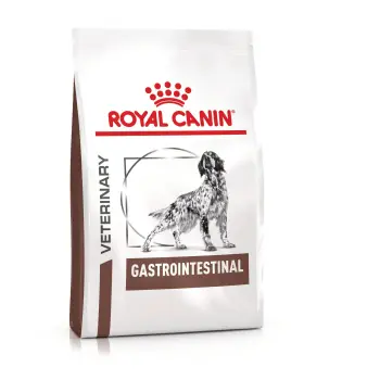 ROYAL CANIN DOG GASTRO INTESTINAL 15KG/SAC Mai ieftin