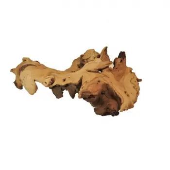 DECOR MOPANI L 50-60CM D120 Doar azi