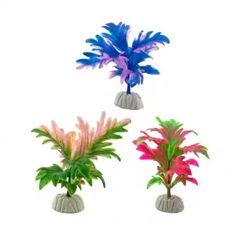PLANTE ACVARIU 3BUC/SET 05 10CM 33010 Popular