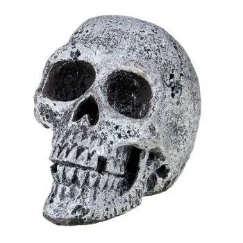 DECOR CRANIU 5.5CM R108 Cel mai vândut