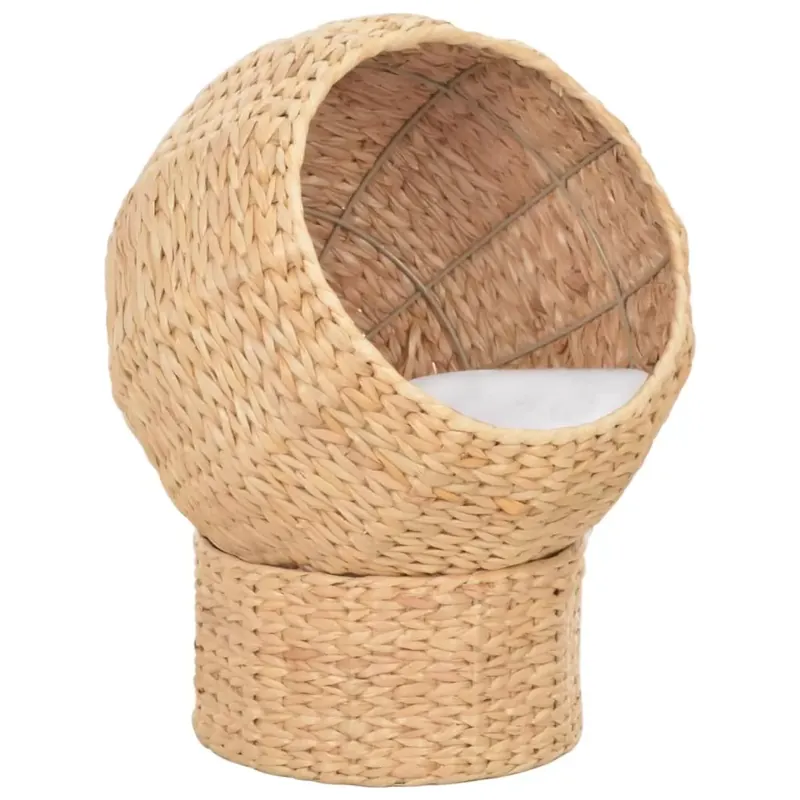 Coș pentru pisici, iarbă de mare Ofertă exclusivă