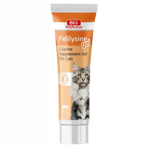 Discount Felilysine, Bio PetActive, L-Lysine Supplement Gel pentru pisici, 100ml